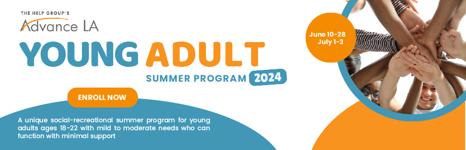 ALA Young Adult Summer Program